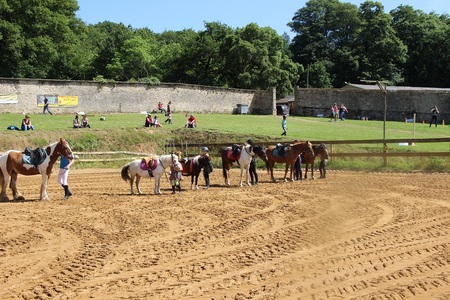 Cavaliers chevaux et poneys dans la carrière