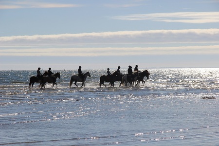 groupe de cavaliers sur la plage