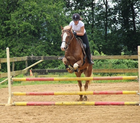 saut d'obstacle